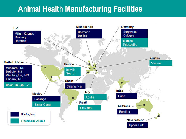 Le Groupe Msd Animal Health - Msd Animal Health Belgique